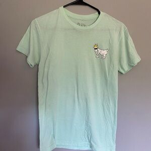 Men's Mint Green Graphic T-Shirt